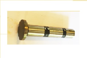 sa530851.jpg